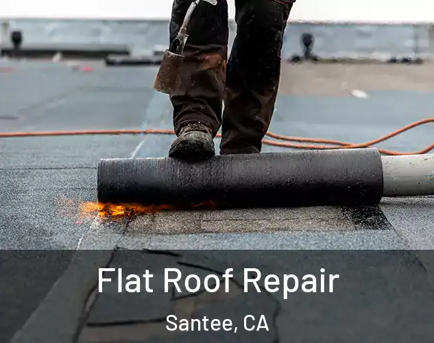  Flat Roof Repair Santee, CA