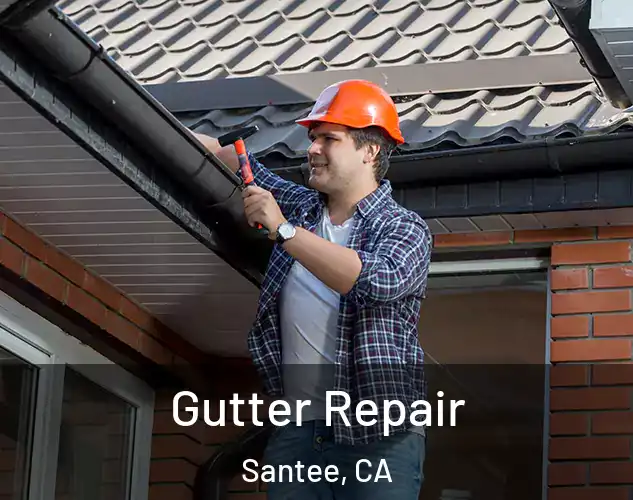  Gutter Repair Santee, CA