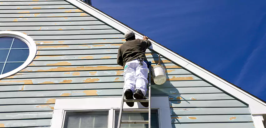 Professional Roof and Siding Repair Services in Santee, CA