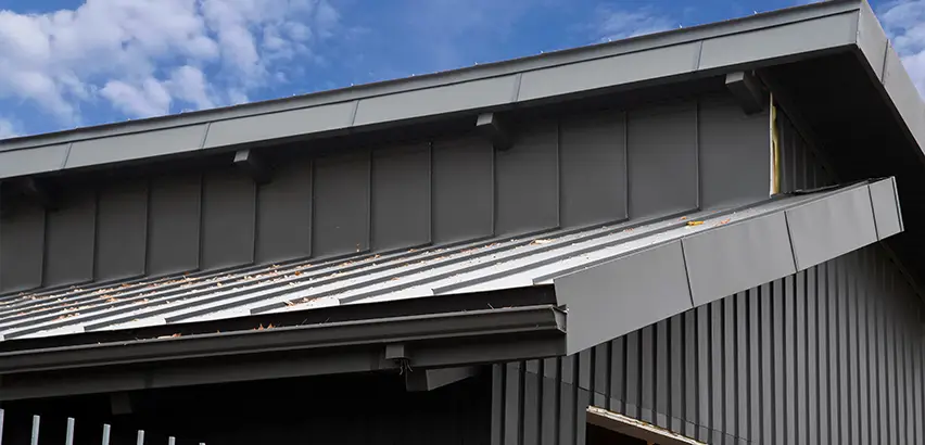 Professional Roof Eaves Installation Services in Santee, CA