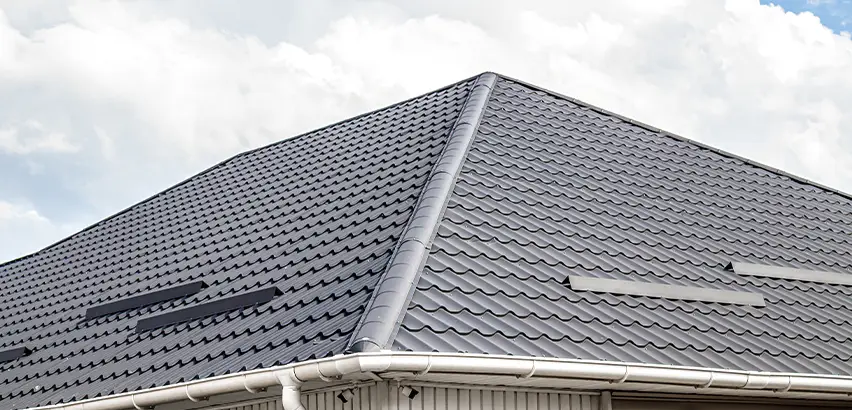 Roof Gully Repair in Santee