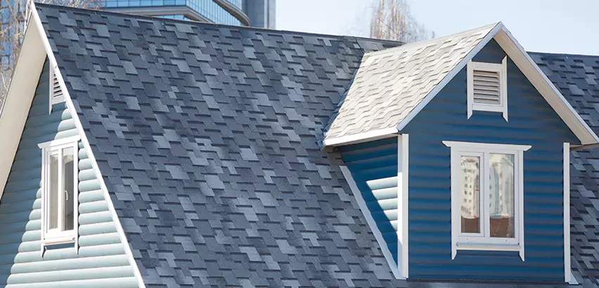 Shingle Roof Maintenance in Santee