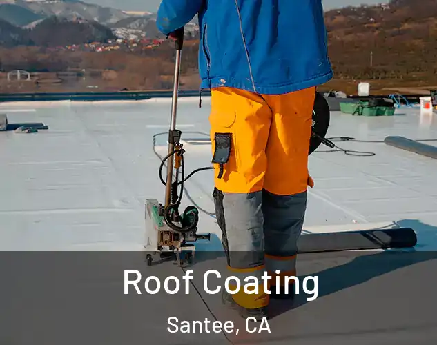  Roof Coating Santee, CA