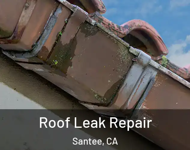  Roof Leak Repair Santee, CA