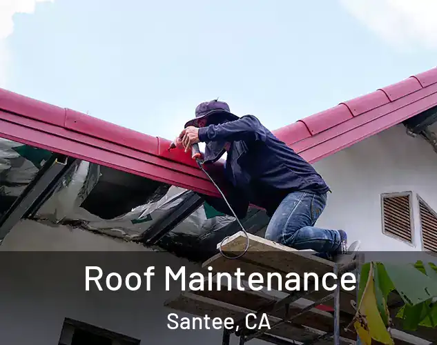  Roof Maintenance Santee, CA