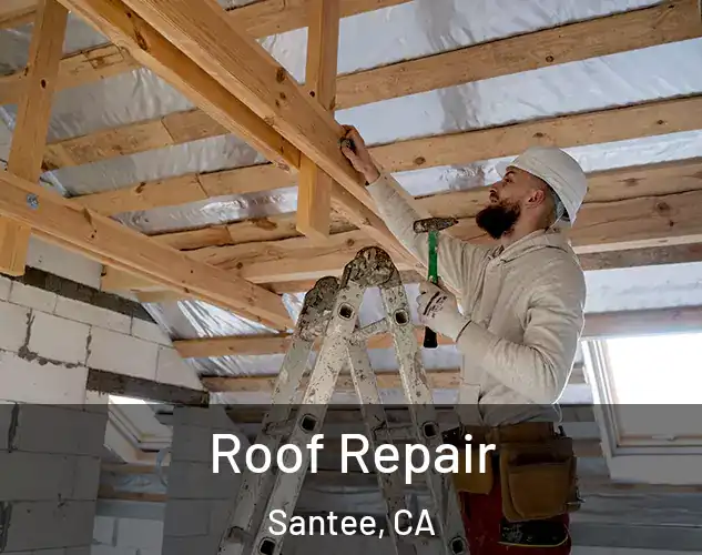  Roof Repair Santee, CA