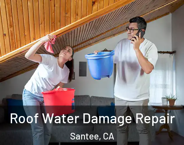  Roof Water Damage Repair Santee, CA
