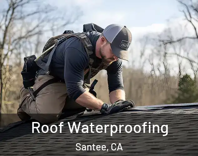  Roof Waterproofing Santee, CA