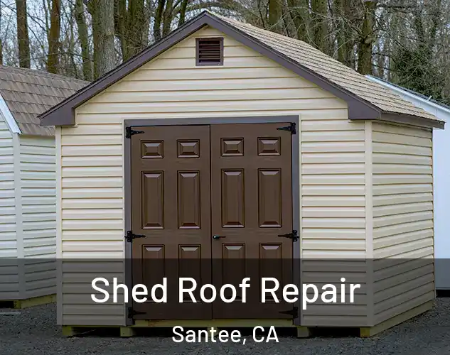  Shed Roof Repair Santee, CA
