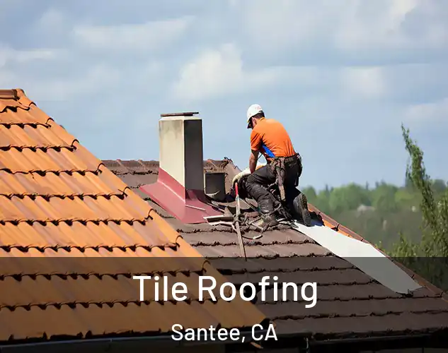  Tile Roofing Santee, CA